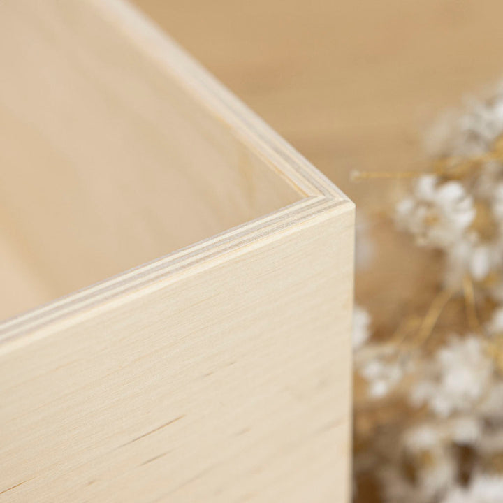Erinnerungsbox feine Details Birke