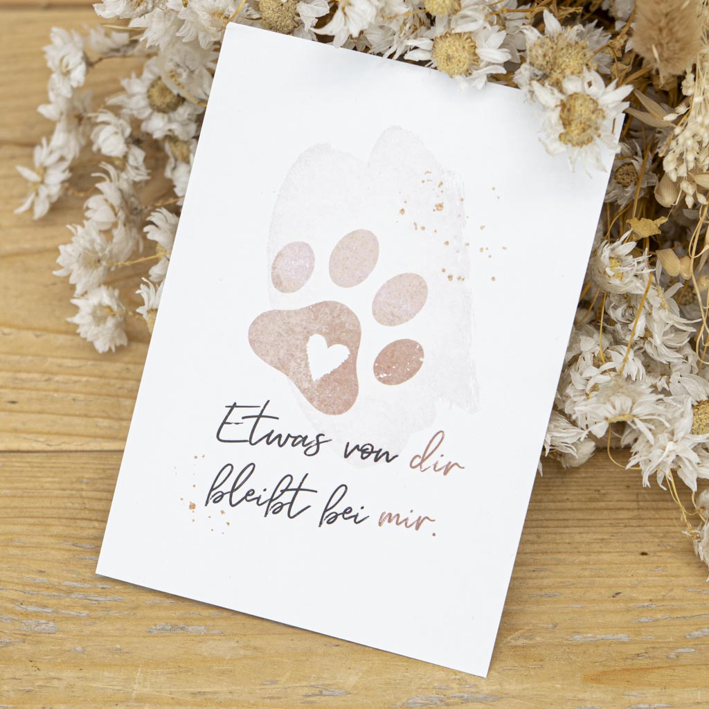 Grusskarte Trauer Hund und Katze