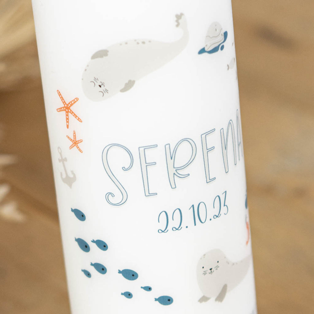 Kerze mit Robben, Fischen und Seestern