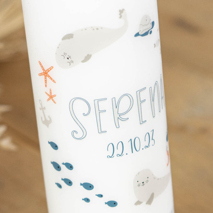 Kerze mit Robben, Fischen und Seestern
